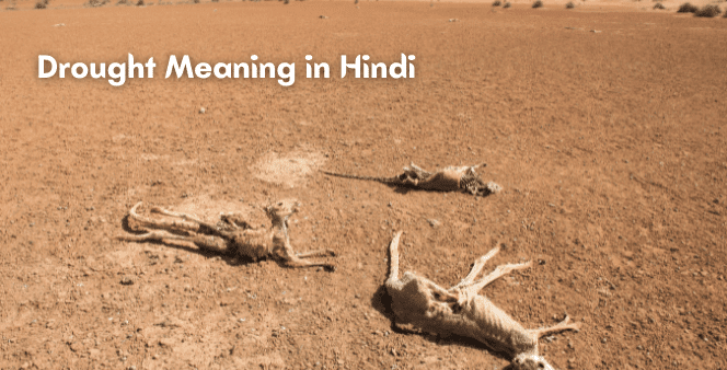 Drought-Meaning-in-Hindi