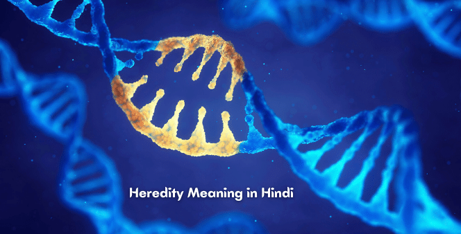 Heredity-Meaning-in-Hindi