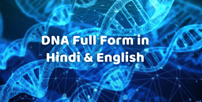 dna-full-form-in-hindi